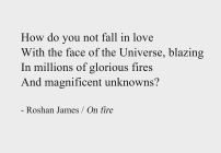 On fire - poetry by Roshan James, Wellesley, Ontario, Canada