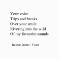 Your voice / Trips and breaks / Over your smile / Rivering into the wild / Of my favourite sounds